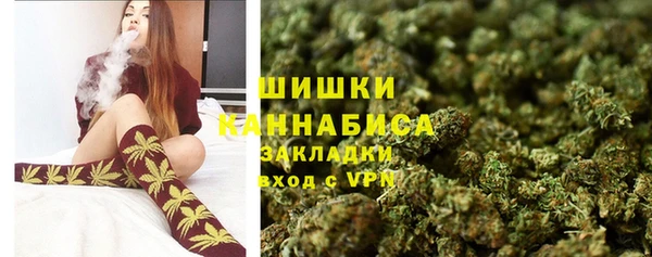 прущие грибы Сосновка